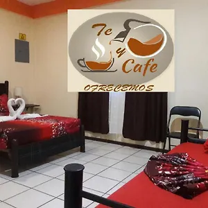 hostel-alme.allrivieramayahotels.com/