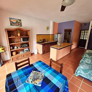 la-posada-pacifica.hotelspuertovallarta.org/